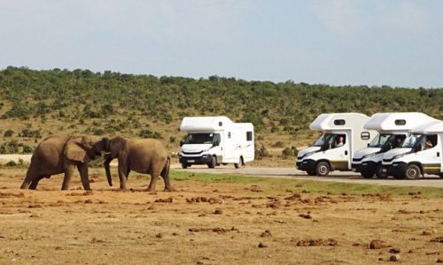 Bobo Campers Bobo Campers