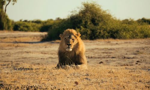 Johannesburg Johannesburg